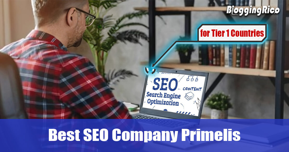 Best SEO Company Primelis